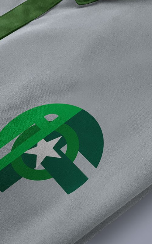 Camiseta Casual Frente - Redesign ACF - Chapecoense